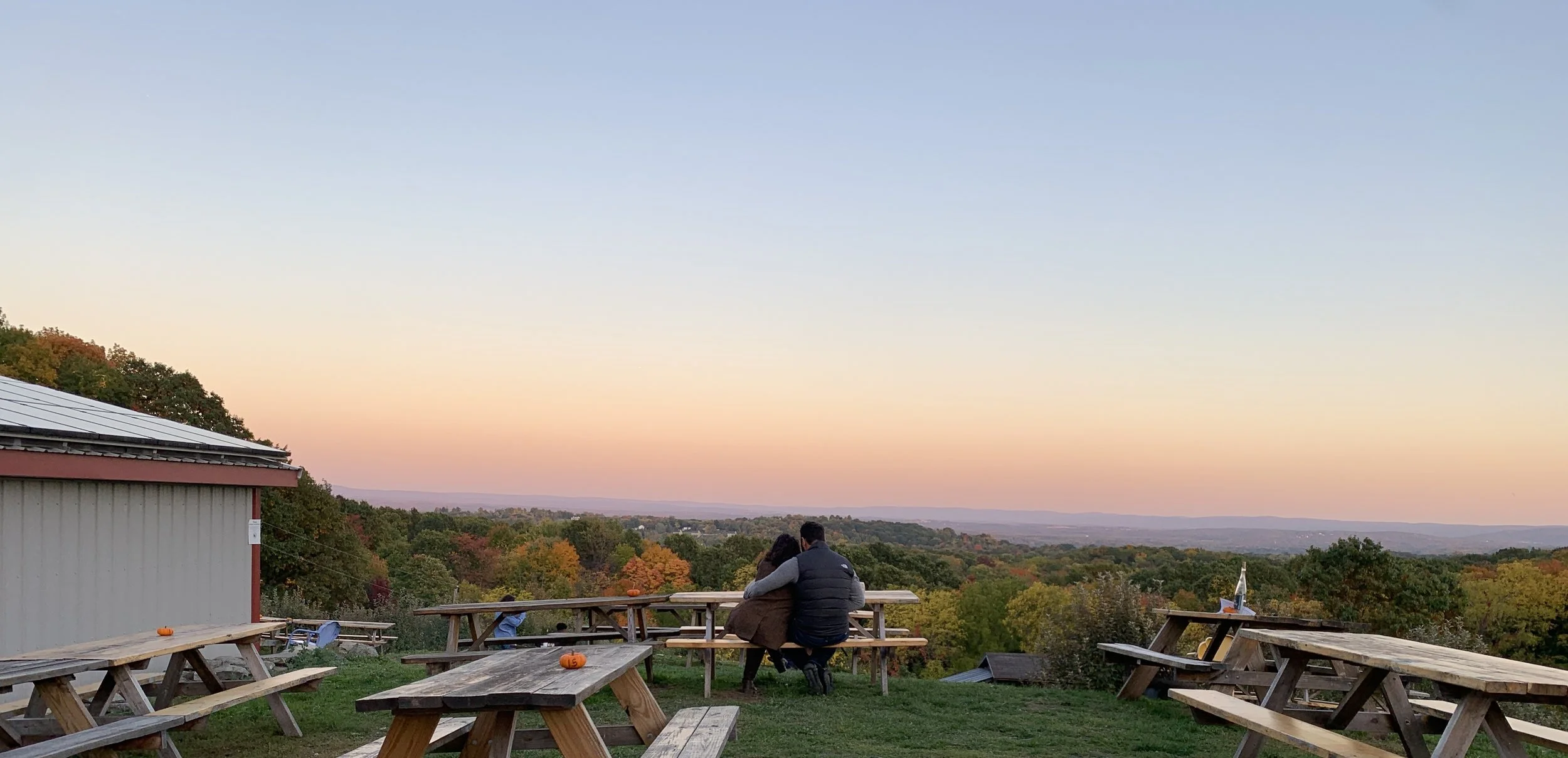 Quartz Rock Vineyard